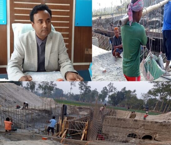 ডালিয়া ডিভিশনের আওতায় ২৪-২৫ অর্থবছরের বিভিন্ন প্রকল্পের কাজ চলমান