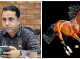 ময়মনসিংহ-১ ধানের শীষকে হারিয়ে জয়ী স্বতন্ত্র প্রার্থী সালমান ওমর রুবেল