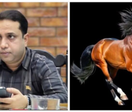 ময়মনসিংহ-১ ধানের শীষকে হারিয়ে জয়ী স্বতন্ত্র প্রার্থী সালমান ওমর রুবেল